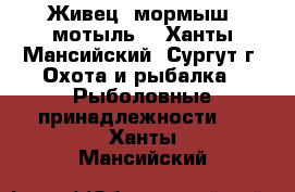 Живец, мормыш, мотыль. - Ханты-Мансийский, Сургут г. Охота и рыбалка » Рыболовные принадлежности   . Ханты-Мансийский